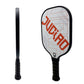 Pickleball Starter Set: Includes 4 Balls and 2 Paddles w/ Carrying Bag